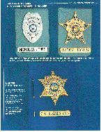 Nielsen Badges