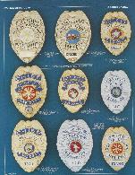 eagle top fire badges